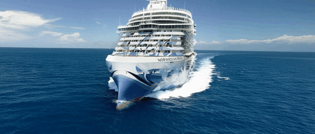 Taking the Long-Term View: How Studio DADO’s Vision Became a Global Design Story